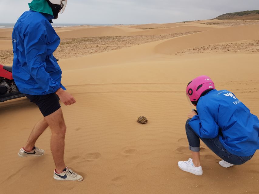Essaouira P12 : 1h Quad bike tour and 1h dromedary Ride - Is $64 good value?