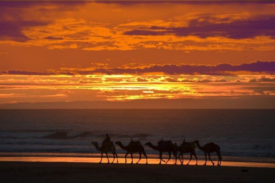 Essaouira P12 : 1h Quad bike tour and 1h dromedary Ride - Practical preparation for the day