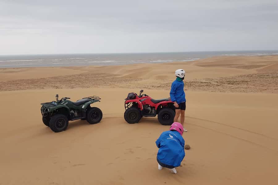 Essaouira P3: Quad tour forest beach dunes (free transfer) - Why this Essaouira quad tour is more than a quick joy ride