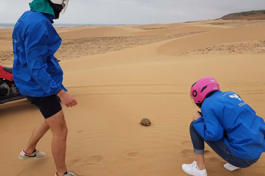 Essaouira P3: Quad tour forest beach dunes (free transfer) - Learning to handle the quad before the open route