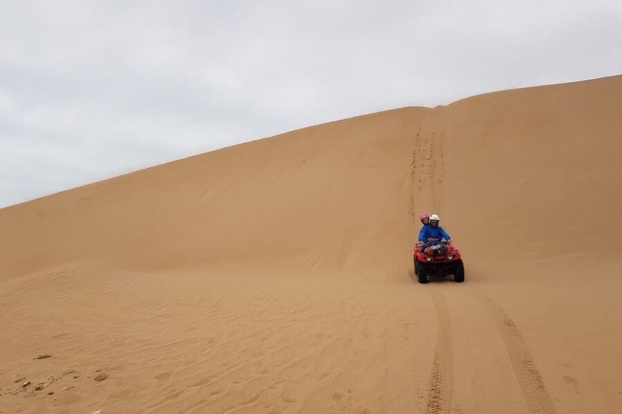 Essaouira P3: Quad tour forest beach dunes (free transfer) - Crossing Essaouira’s dunes