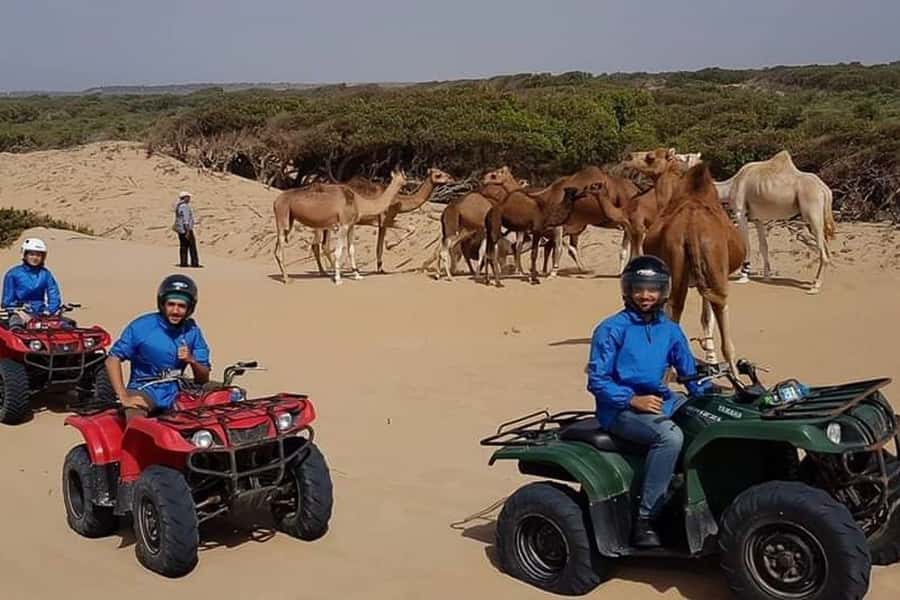 Essaouira P3: Quad tour forest beach dunes (free transfer) - How the guide shapes the experience