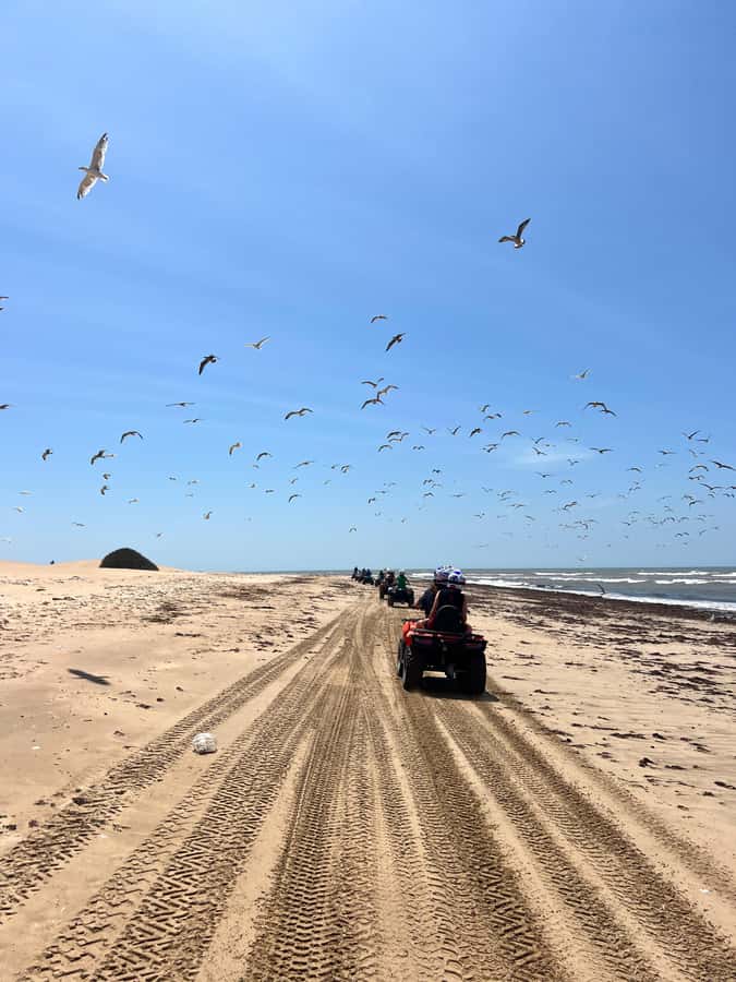 Essaouira: quad biking ATV Tour in Essaouira with tea break - Who will enjoy this most