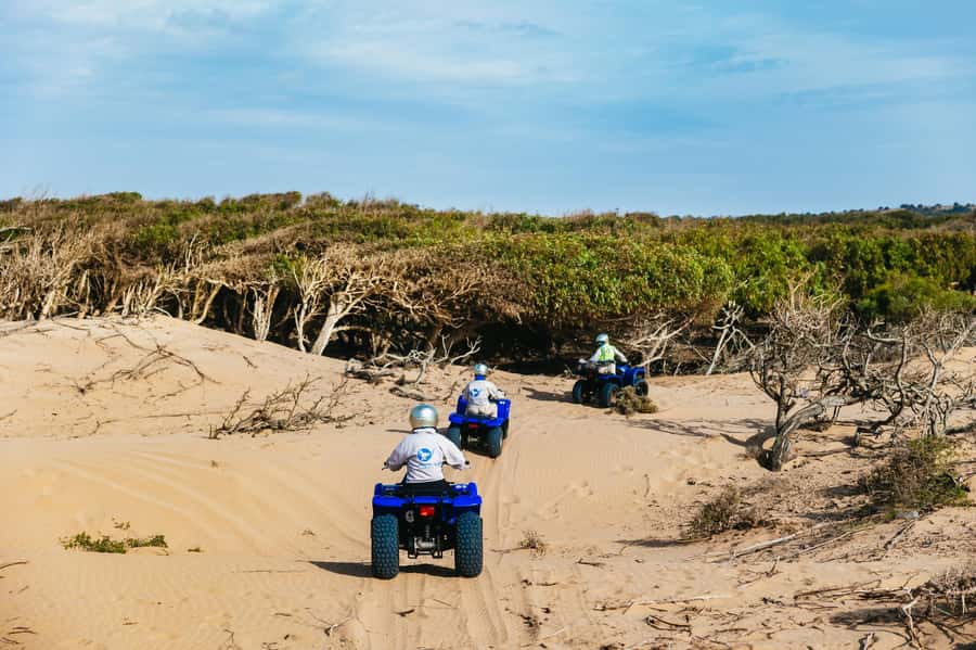 Essaouira Sand Dunes: Half Day Quad Bike Tour - Atlantic views, rocky tracks, and coastal stops