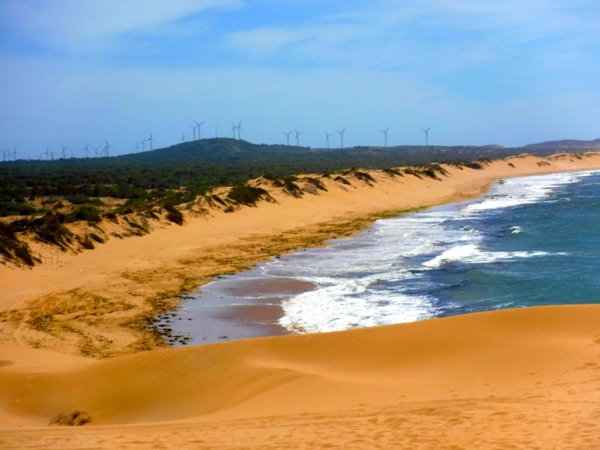 Essaouria: Beach & Big Dunes 2-Hour Quad Biking Tour - Riding along Essaouira’s broad beach