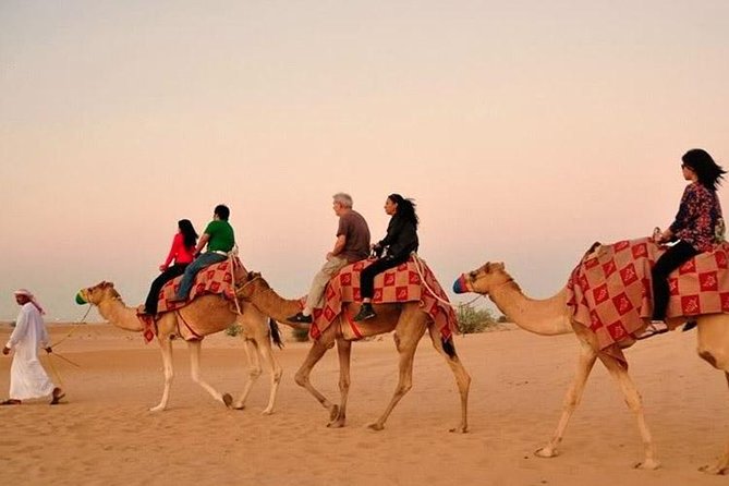 Evening Desert Adventure: Quad Biking, Sandboarding & Camel Ride - Camel riding and sandboarding between the bigger thrills