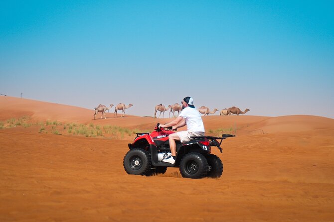 Evening Quad Bike, Desert Safari in Dubai , BBQ Dinner and Shows - Dune bashing across the high red dunes