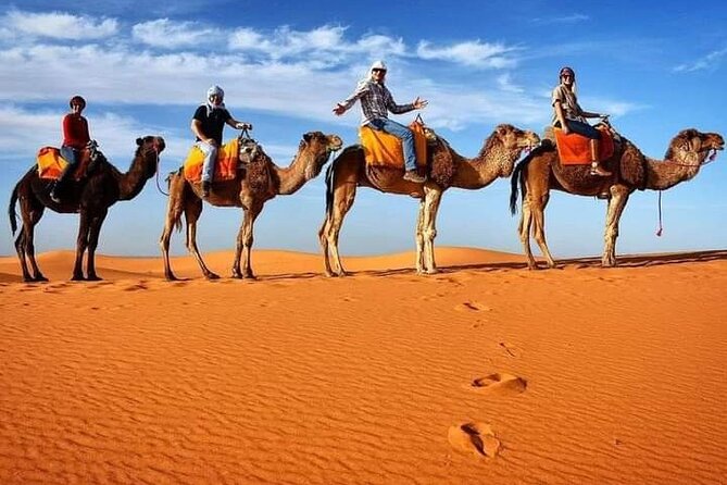 Excursions Quad Riding in Merzouga - Key points to know before booking