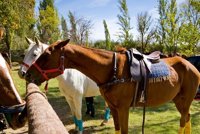 Extreme Horses Adventure with ATV, Ziplines & Cenote - Ziplines, bridges and the cenote