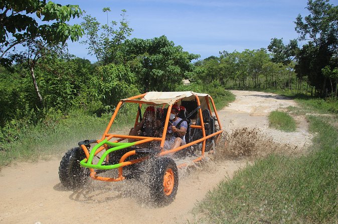 Family Buggy Adventure in Punta Cana - Coffee and cacao at a Dominican home