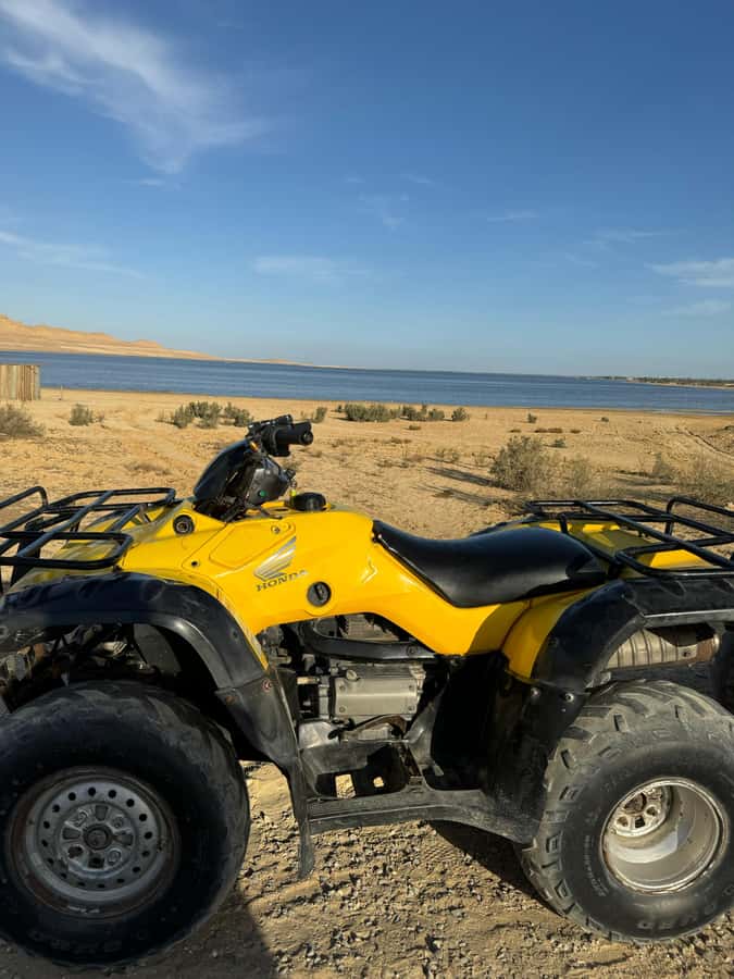 Fayoum: Qarun Sahara Safari With( ATV ) Quad bike From Cairo - Is $200 good value?