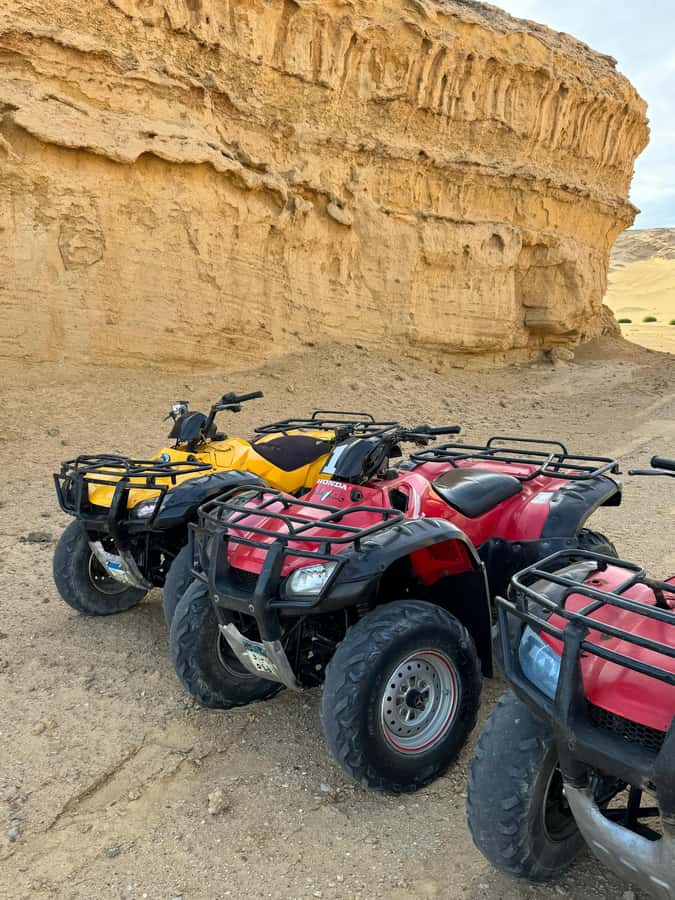 Fayoum: Qarun Sahara Safari With( ATV ) Quad bike From Cairo - Who should book this Fayoum day?