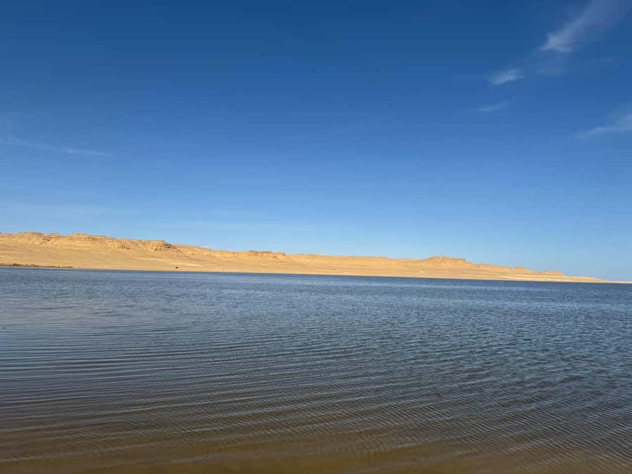 Fayoum: Qarun Sahara Safari With( ATV ) Quad bike From Cairo - Tea, breakfast, and the first lake views
