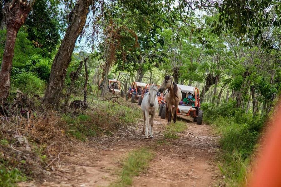 Flintstones Buggy, Cave and Adventure in Bavaro - Who should book this five-hour adventure?