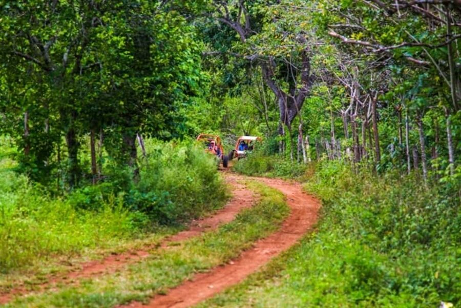 Flintstones Buggy, Cave and Adventure in Bavaro - The rougher trail through farms and rock formations