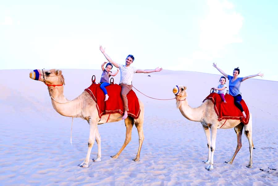 From Abu Dhabi: Dune Bashing Desert Safari - BBQ dinner and live entertainment