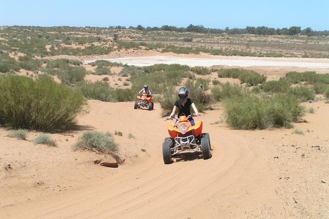 From Agadir: Quad Biking & Sand boarding halfday Experience - Is $81.30 a fair price?