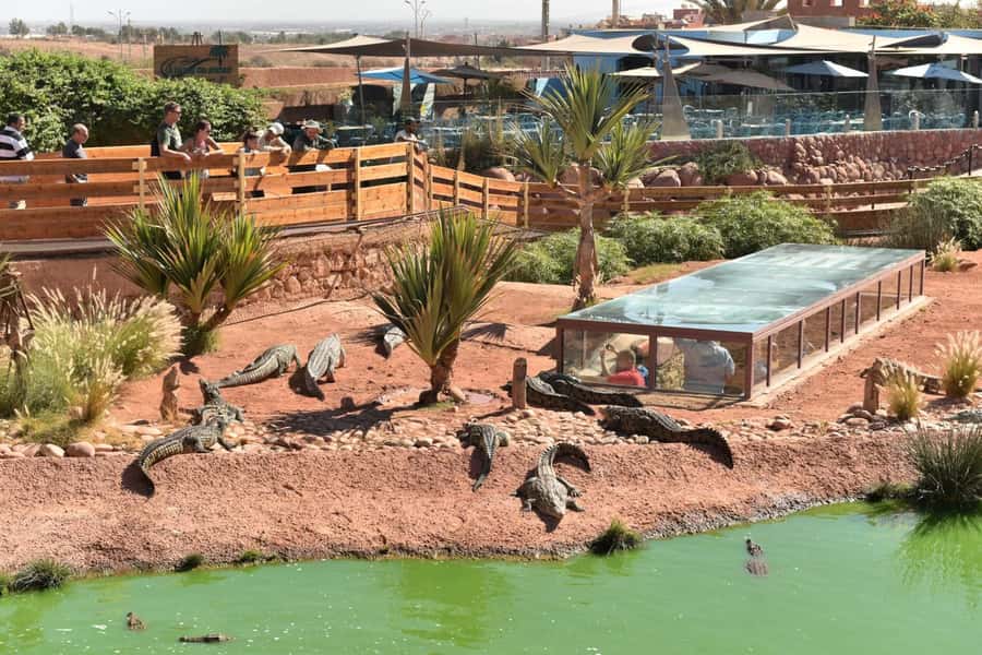 From Agadir/Taghazout: Buggy Safari Adventure & Moroccan Tea - What the $56 price really buys you