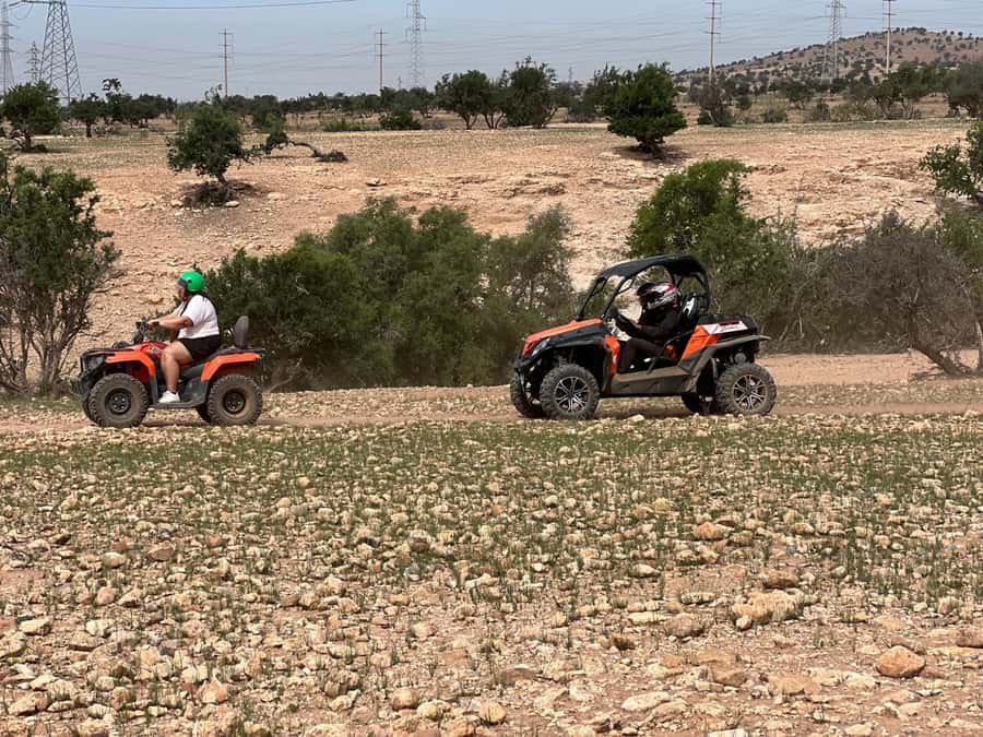 From Agadir/Taghazout: Buggy Safari Adventure & Moroccan Tea - The argan-tree goats and the photo stop