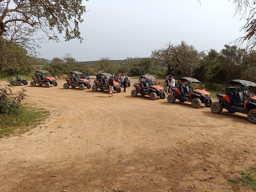 From Albufeira: Paderne Adventure Buggy Ride - Key points at a glance