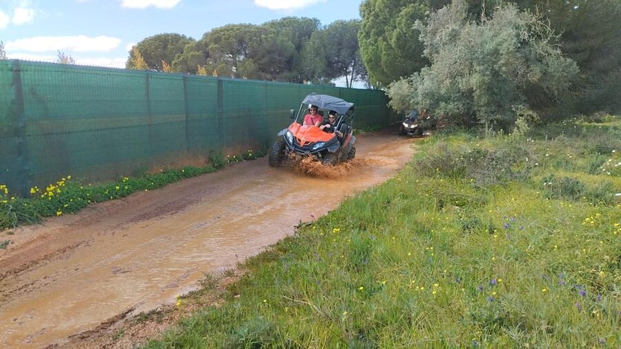 From Albufeira: Paderne Adventure Buggy Ride - Practical verdict: book it for scenery and steady thrills