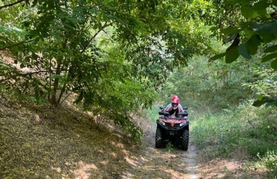 From Bucharest: Forest and Hills ATV Quad Bike Tour - Should you book this Bucharest ATV tour?
