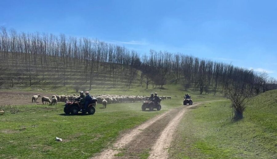 From Bucharest: Forest and Hills ATV Quad Bike Tour - How the weather changes the experience