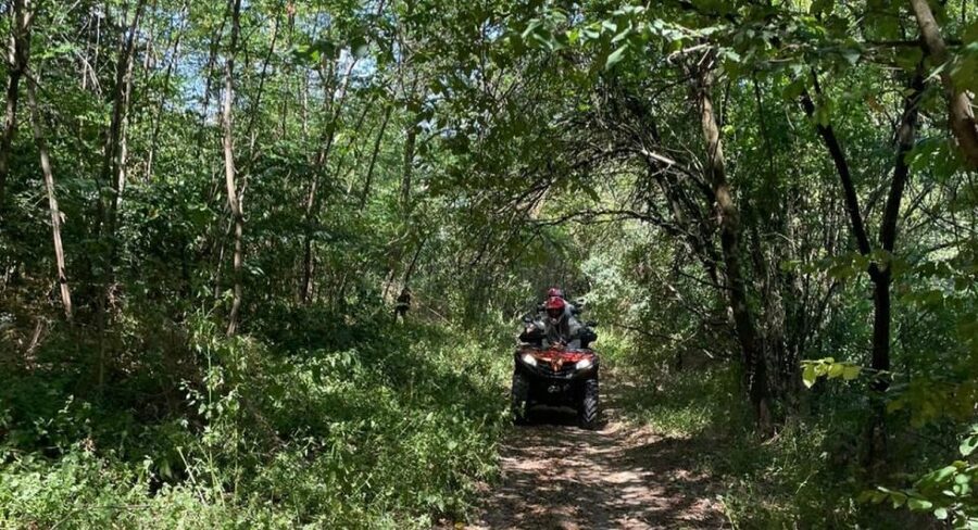 From Bucharest: Forest and Hills ATV Quad Bike Tour - The practical value of the $141 price
