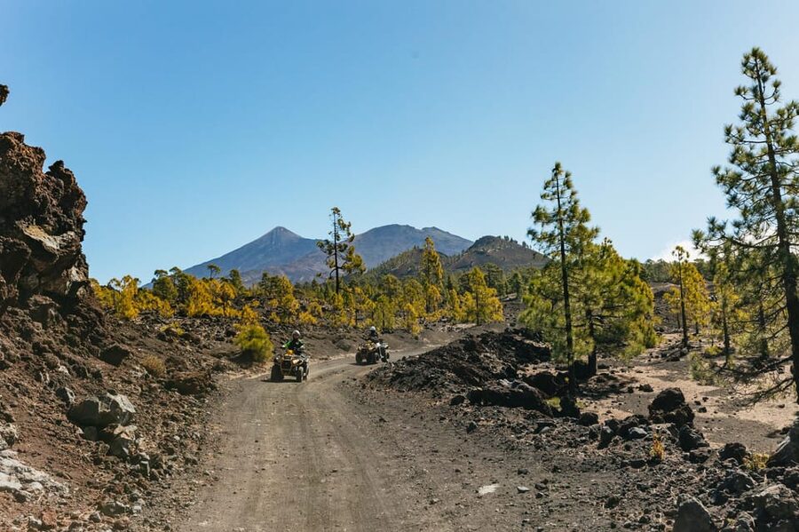 From Costa Adeje: Mount Teide Forest Off-Road Quad Bike Tour - Leaving Costa Adeje for the Mount Teide Forest