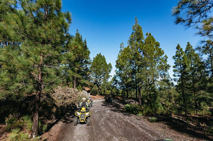 From Costa Adeje: Mount Teide Forest Off-Road Quad Bike Tour - How the tour compares with a standard Teide visit