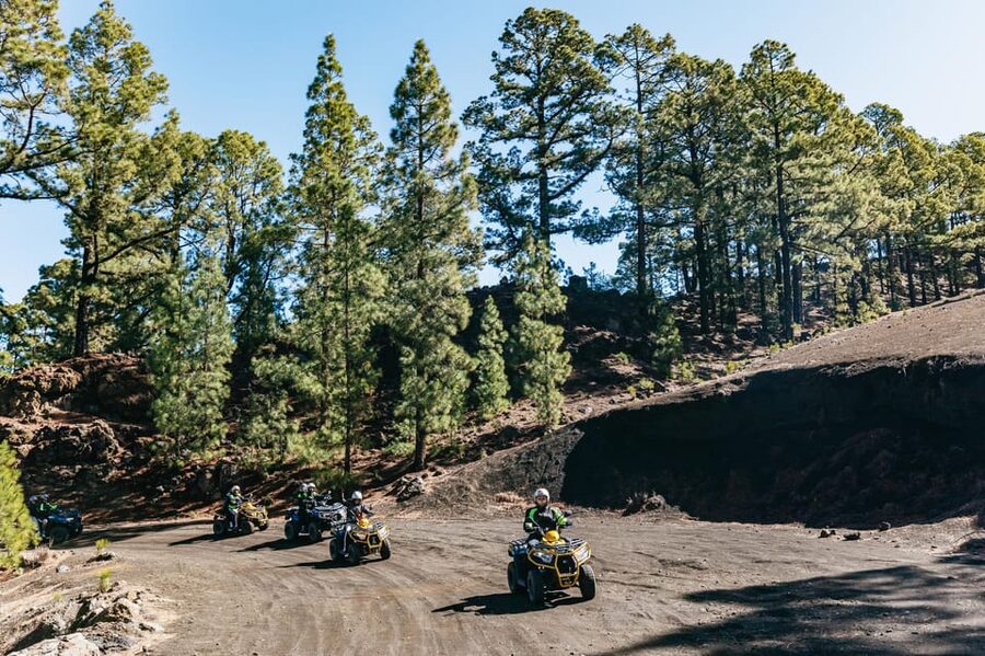 From Costa Adeje: Mount Teide Forest Off-Road Quad Bike Tour - Who gets the most from this experience