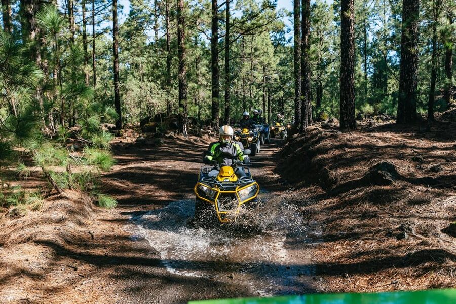 From Costa Adeje: Mount Teide Forest Off-Road Quad Bike Tour - Three hours among pine trees and volcanic ground