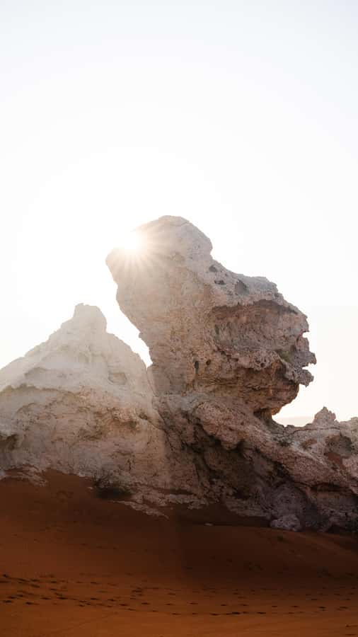 From Dubai: Zerzura Dune Buggy Experience & Fossil Discovery - Sandboarding at Camel Rock