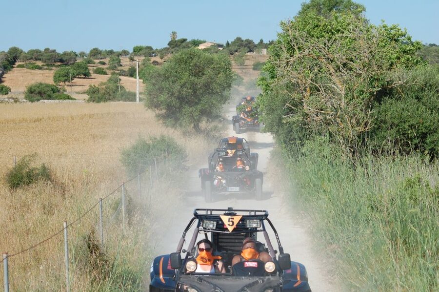 From East Mallorca: Guided Beach and Mountain Buggy Tour - Key points to know before booking