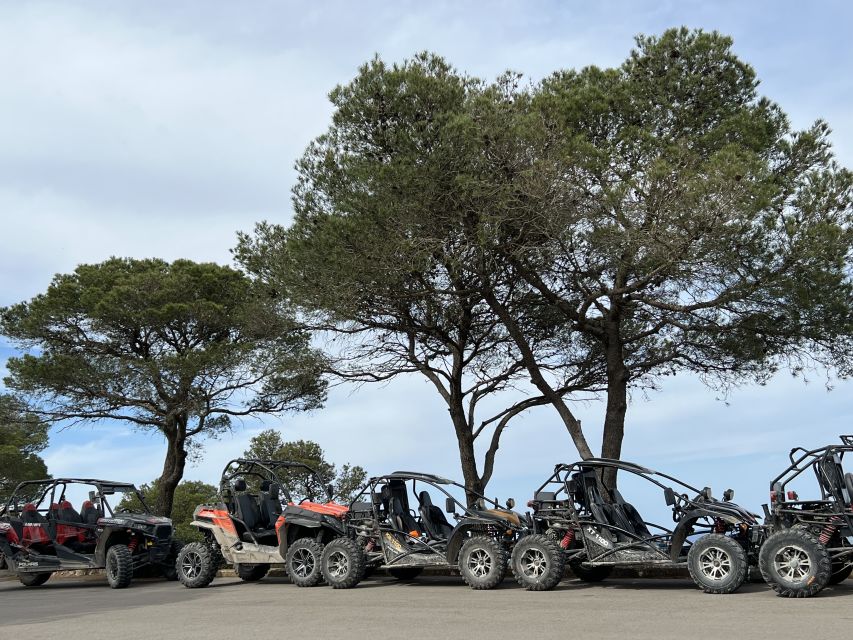 From East Mallorca: Guided Beach and Mountain Buggy Tour - Who will enjoy this most