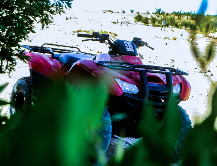 From El Gouna: Dry Canyon Quad Bike Morning Tour - Transfer quality can shape the morning