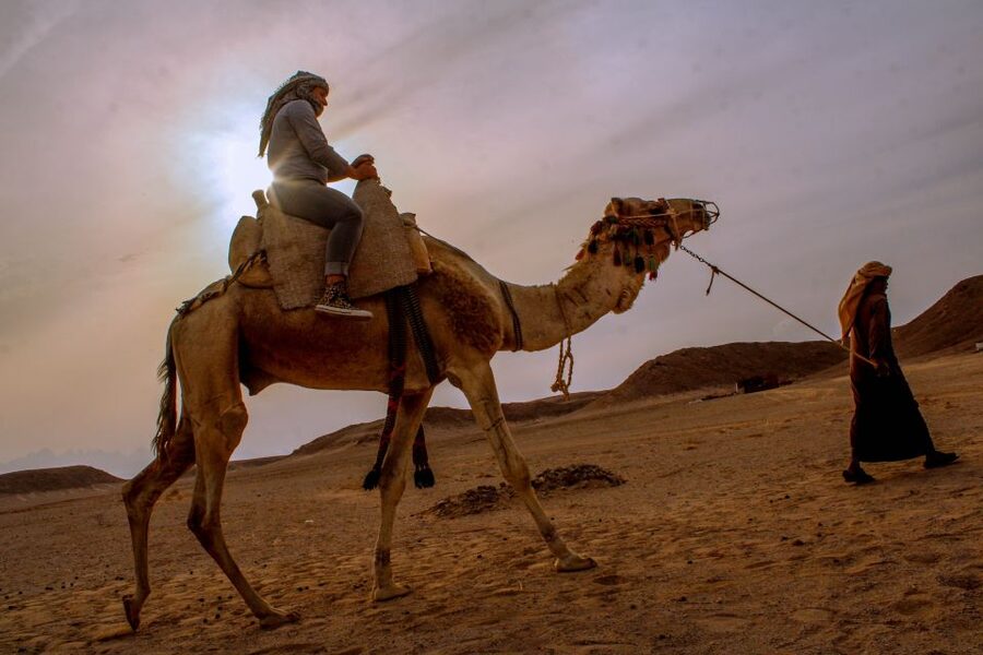From El Gouna: Dry Canyon Quad Bike Morning Tour - Should you book the Dry Canyon quad-bike tour?
