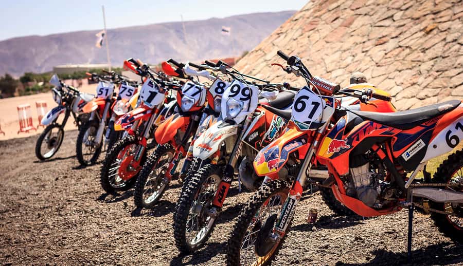 From Hurghada: El Gouna Quad and MX Bike Safari Tour - Should you book the El Gouna MX and ATV safari?