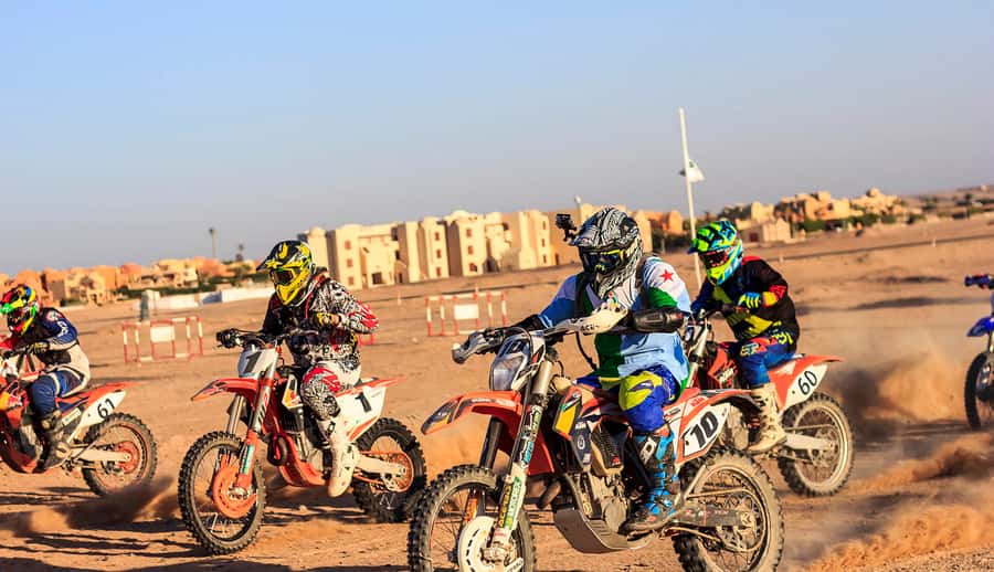 From Hurghada: El Gouna Quad and MX Bike Safari Tour - Is $134 good value?