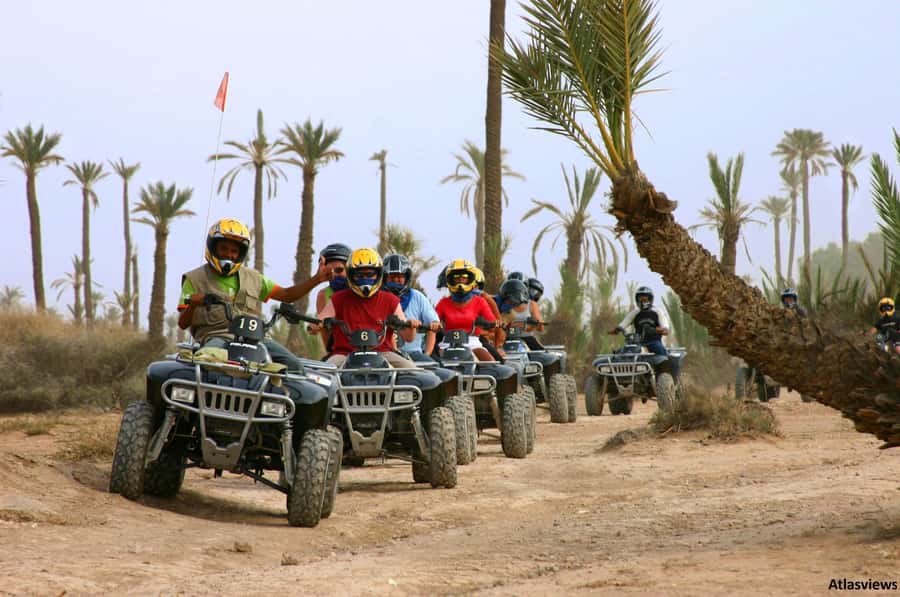 From Marrakech: Adventure Quad Ride in La Palmeraie - Two hours through palms, villages, and open ground