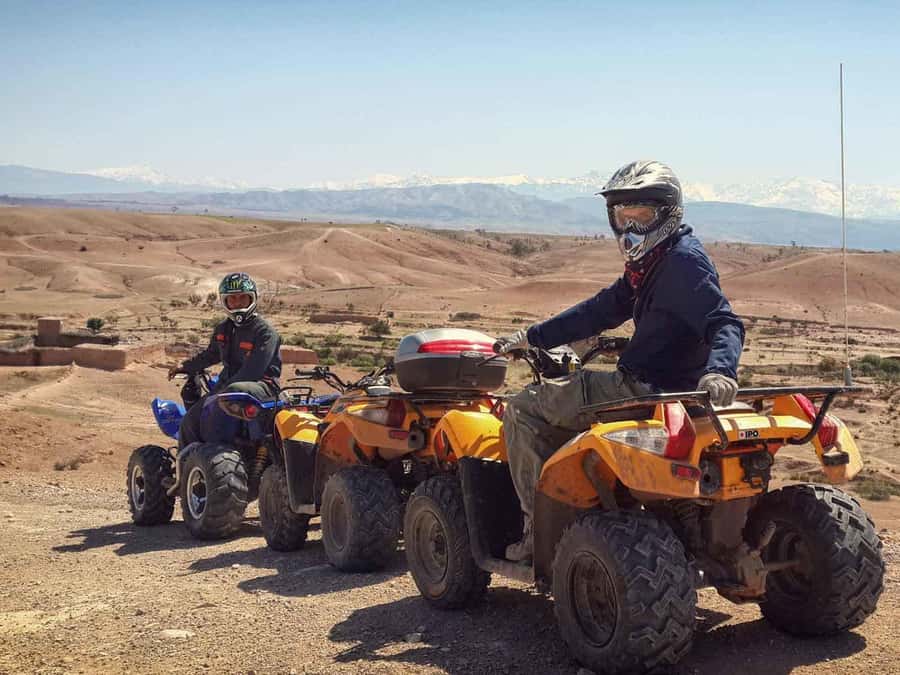 From Marrakech: Adventure Quad Ride in La Palmeraie - Practical preparation for a better morning