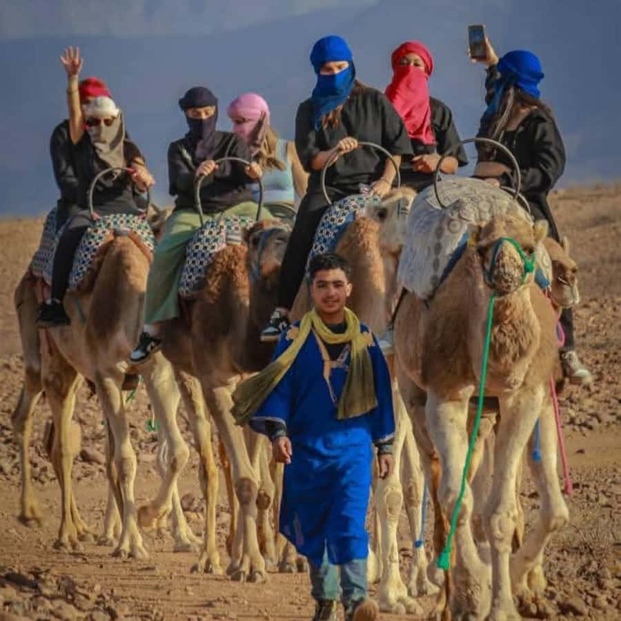 From Marrakech: Agafay Desert Dinner with Quad & Camel Ride - Sunset over Agafay