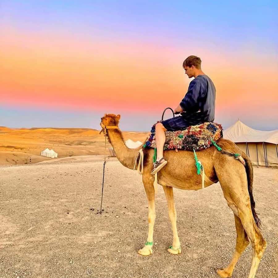 From Marrakech: Agafay Desert Dinner with Quad & Camel Ride - Leaving Marrakech around 5:30 PM