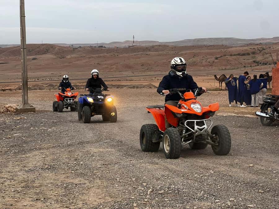 From Marrakech: Agafay Desert Quad Biking Tour with Transfer - Who will enjoy this Agafay quad tour?