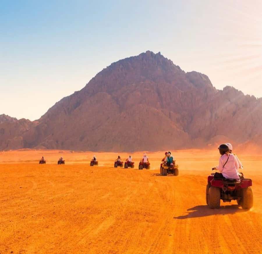 From Marrakech: Agafay Desert Quad Biking with Dinner & Show - Guides, languages, and the human side