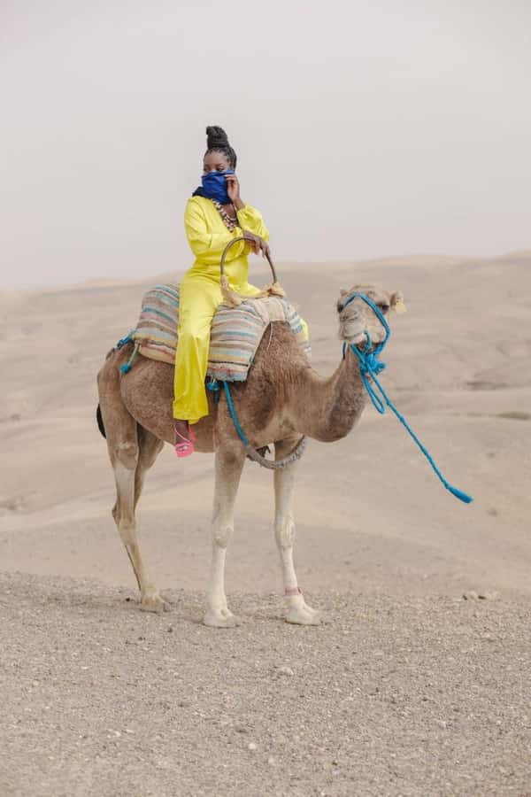 From Marrakech: Camel, Quad Bike Tour, Sunset, Dinner & Show - Leaving Marrakech for Agafay’s rocky desert