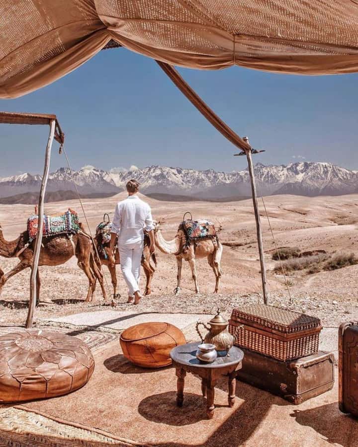 From Marrakech: Camel, Quad Bike Tour, Sunset, Dinner & Show - Forty minutes of quad biking across rough ground