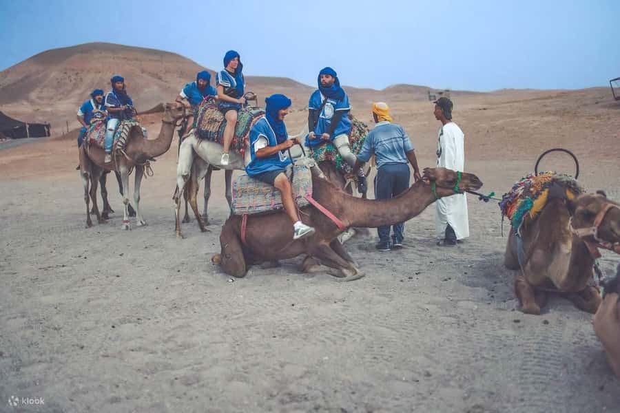 From Marrakech: Camel, Quad Bike Tour, Sunset, Dinner & Show - A quick stop at an argan oil cooperative
