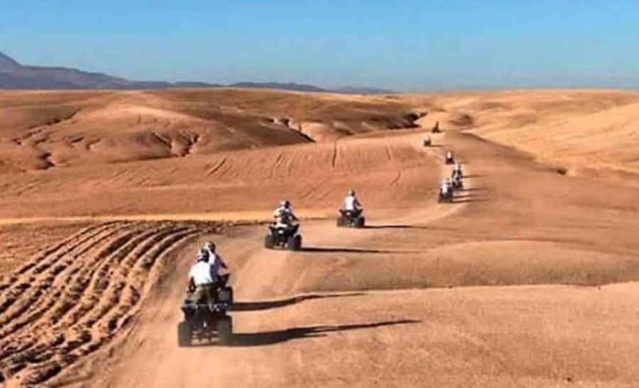 From Marrakech: Camel, Quad Bike Tour, Sunset, Dinner & Show - The transport details deserve your attention