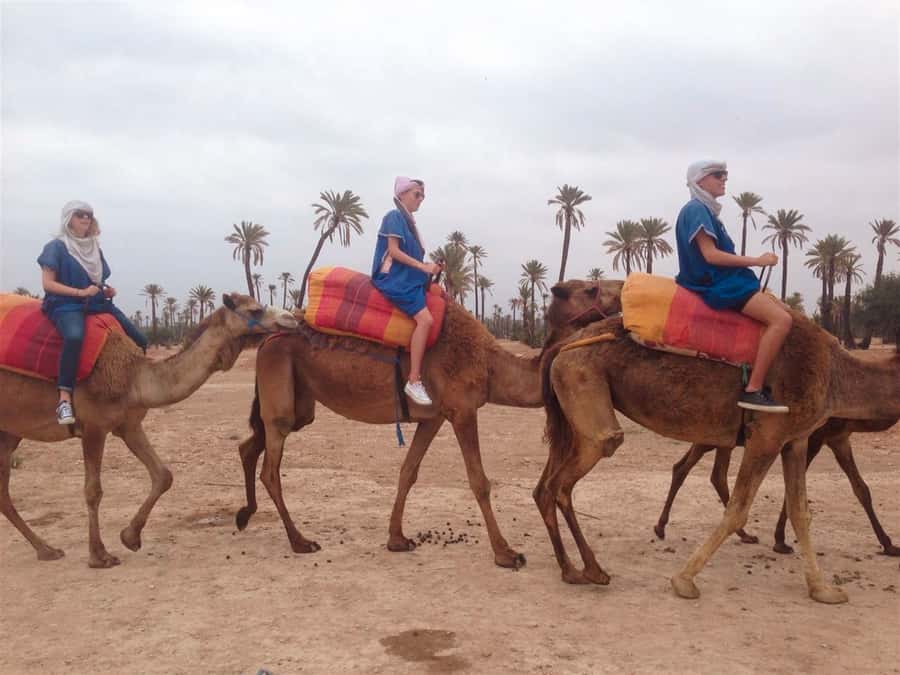 From Marrakech: Camel Ride, Quad Bike & Spa Full-Day Trip - From Marrakech’s Streets to the Palmeraie